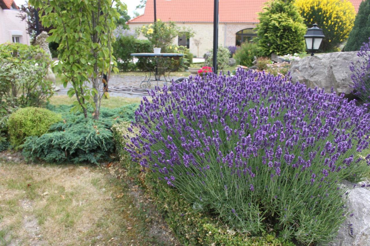 Au Grand Saule Villa Les Attaques Værelse billede
